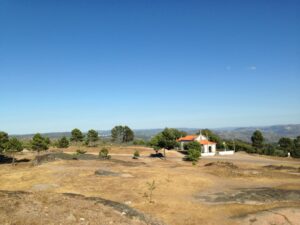 Photo Investment landscape