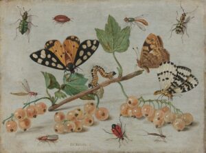 Photo Adaptability illustration