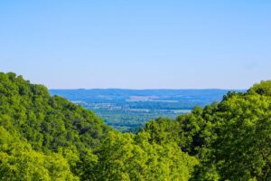 Photo State Grants