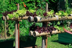 Photo Community garden