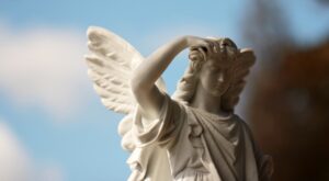Photo Angel investors