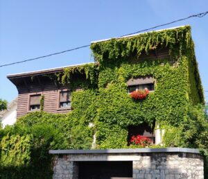 Photo Green building