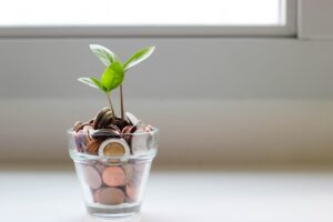 Photo Financial report