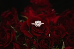 Photo Creative Proposal