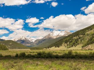 Photo Grant applications